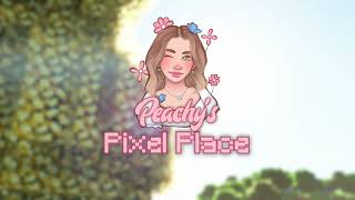 HOW TO DOWNLOAD MY MODPACK  Peachys Pixel Place [upl. by Chane]