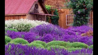 What are the differences in LavenderGarden Style nw [upl. by Atilrahc726]