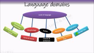 Phonetics  Phonology  Morphology  Syntax  Semantics  Pragmatics [upl. by Tennaj456]