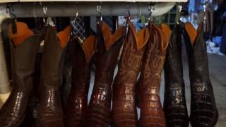 Exotic Skin Cowboy Boot Collection  Lucchese BlackJack Tony Lama Justin JB Hill [upl. by Nitsur602]