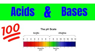 Properties of Acids and Bases  The Basics [upl. by Jedlicka]