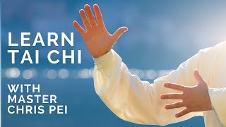 Tai Chi for Beginners  Best Instructional Video for Learning Tai Chi [upl. by Abie]