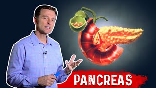 The Function Of Pancreas amp Pancreatitis – Dr Berg on Pancreatic Insufficiency [upl. by Ahsyad]