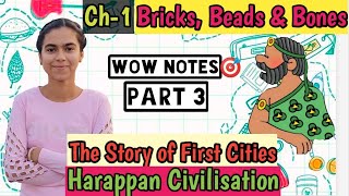 Bricks Beads and Bones I Part 3 Class 12 History I Chapter 1 II THE STORY OF THE FIRST CITIES I [upl. by Adiam34]