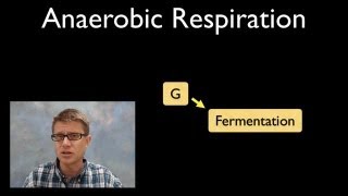 Anaerobic Respiration [upl. by Mudenihc801]