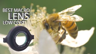 Best Macro Lens Low Cost Unboxing Raynox DCR250 SLR  Universal [upl. by Odnalor]