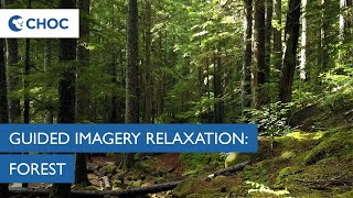 Guided Imagery Meditation Forest  CHOC [upl. by Cogan]