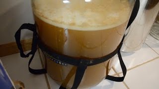 Homebrewing Basics Fermentation [upl. by Karolyn]