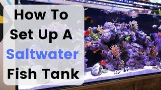 How To Set Up Build A Saltwater Fish Tank  Aquarium [upl. by Kushner694]