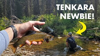 Tips for Tenkara Beginners—and Fishing an UNREAL Creek Tenkara Fly Fishing [upl. by Marl]