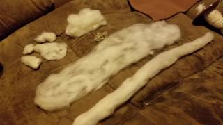 How I process cotton entirely by hand [upl. by Yelra]