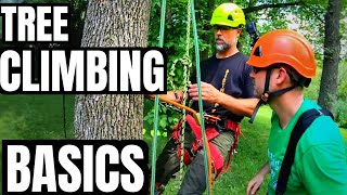 Tree Climbing Basics What Equipment Do I Need To Climb a Tree  Basic Gear  Stan Dirt Monkey [upl. by Yenot651]