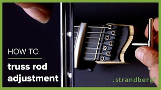 Truss Rod Adjustment [upl. by Rheba856]