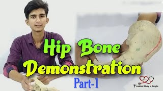 Hip bone anatomy in bangla  Parts features attachmentsrelations part1 [upl. by Benoite]