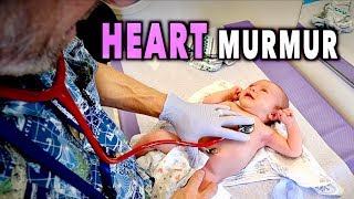 NEWBORN HEART MURMURS What You Need to Know  Dr Paul [upl. by Sivrat]