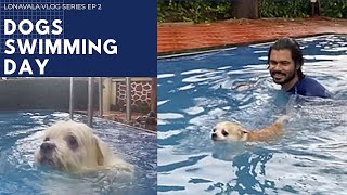 Dogs SWIMMING Day  LONAVALA vlog series  Ep 2  Ss vlogs [upl. by Leahcim105]