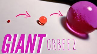 GIANT orbeez  Timelapse  Unboxing [upl. by Mclaughlin]