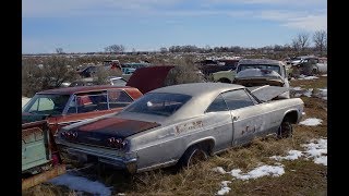 Salvage yard in Idaho with 8000 old cars [upl. by Ynattyrb]