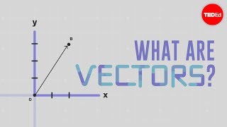 What is a vector  David Huynh [upl. by Marni]