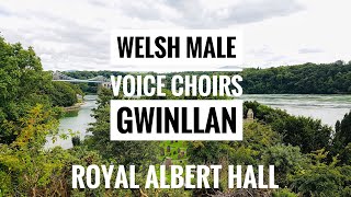 Best Welsh Anthem at the Royal Albert Hall  Gwinllan A Roddwyd I’m Gofal stirring with passion [upl. by Angie]