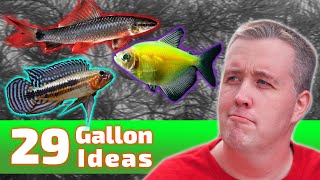 The BEST Ideas for Your 29 Gallon Fish Tank [upl. by Angie320]