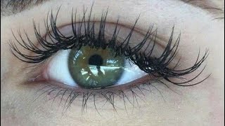 lash falsies [upl. by Reynold453]