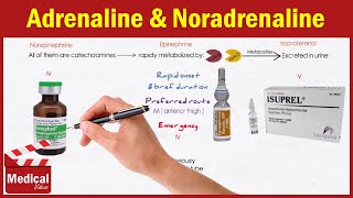 Pharmacology ANS 14 Direct Acting Adrenergic Agonists Adrenaline  Noradrenaline Isoprenaline [upl. by Bren]