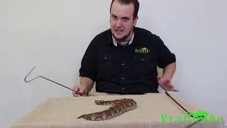 Venomous reptile unboxing the biggest viper in the world [upl. by Ramal109]