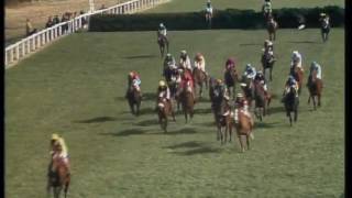 1977 Grand National [upl. by Gregrory]