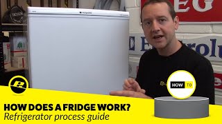 How Does a Fridge Work How is a Fridge Cooled amp MORE [upl. by Brunell892]