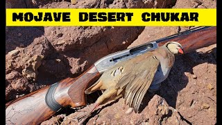 Mojave Desert Chukar Hunt [upl. by Silvan734]