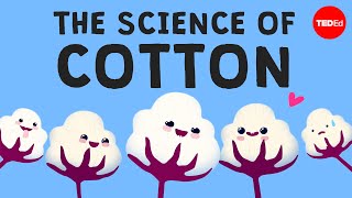 Why is cotton in everything  Michael R Stiff [upl. by Tuorah]