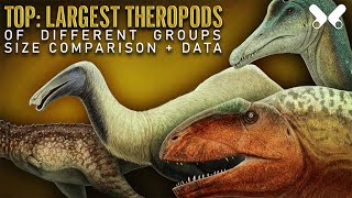 TOP LARGEST THEROPOD DINOSAURS size comparison and data [upl. by Rains]