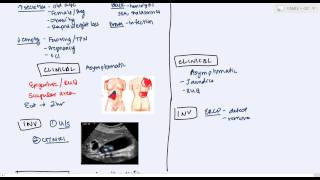 Key Biliary Tract  Cholestatic Diseases amp Labs Explained [upl. by Magdalen]