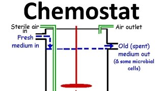 Chemostat [upl. by Reste309]