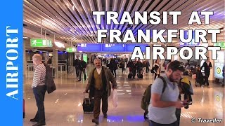 TRANSIT WALK AT FRANKFURT Airport FRA Terminal 1  Connection Flight Transfer Arriving amp Departing [upl. by Annoel]