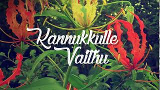 Tamil Eelam Song  Kannukkulle Vaithu [upl. by Dorraj]