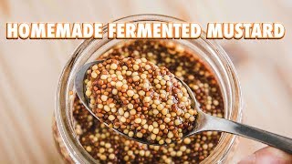 Easy Homemade Fermented Mustard [upl. by Eanehs]