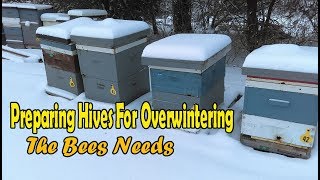 Preparing Bee Hives For Winter  The Bees Needs [upl. by Ahsenrat644]