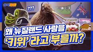 🥝키위라고 불리는 사람들 이야기 [upl. by Ardaed]