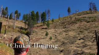 Public Land Chukar Hunting in Idaho [upl. by Yecnahc]