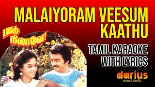 Paadu Nilavae 1987  Malaiyoram Veesum Kaathu Karaoke Song  Tamil Lyrics  Ilaiyaraaja [upl. by Ajssatsan]