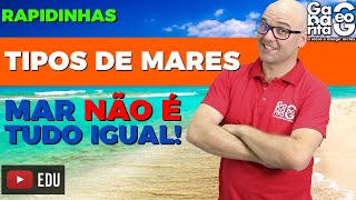 TIPOS DE MARES  Geografia  Rapidinhas 016 [upl. by Adnulahs]