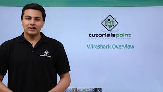 Penetration Testing  Wireshark Overview [upl. by Gaile]